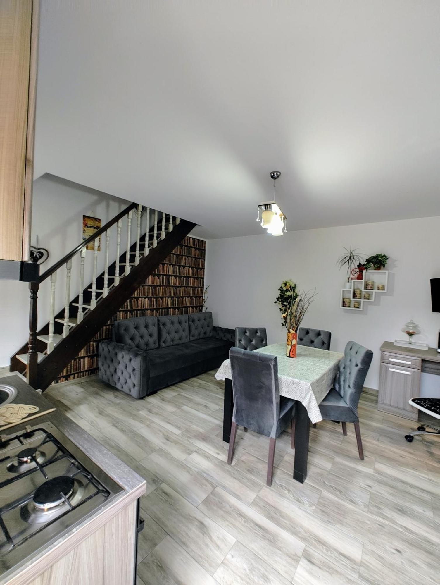 House Apartment Minerilor Клуж-Напока Екстер'єр фото